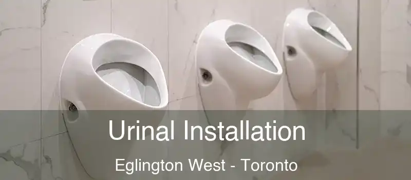  Urinal Installation Eglington West - Toronto